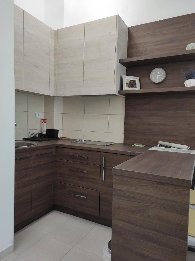 Studio Apartman Dani Banja Koviljaca Ngoại thất bức ảnh